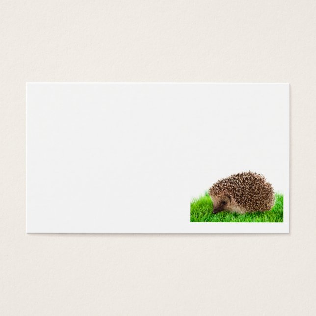 hedgehog (Devant)