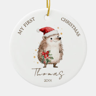 Hedgehog Baby 1st Christmas Photo Ornament