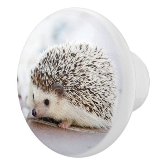 Hedgehog Baby Keramische Knop (Rechts)