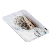 Hedgehog Baby Magneet (Rechterzijde)