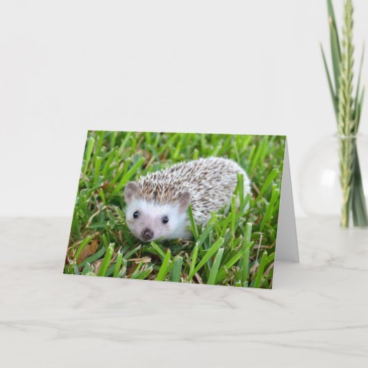 Hedgehog Blank Card Feestdagen Kaart (Voorkant)
