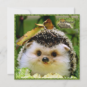 Hedgehog Friendship Kaart