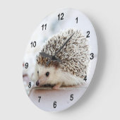 Hedgehog Grote Klok (Hoek)
