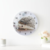 Hedgehog Grote Klok (Huis)