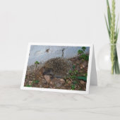 Hedgehog in Tuinportret Kaart (Voorkant)