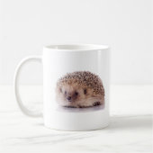 Hedgehog, Koffiemok (Links)