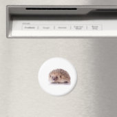 Hedgehog, Magneet (Insitu (Vaatwasser))