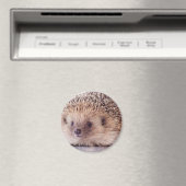 Hedgehog, Magneet (Insitu (Vaatwasser))