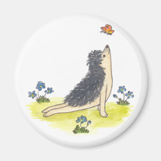 Hedgehog opwaarts gerichte hond magneet