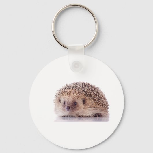 Hedgehog, Sleutelhanger (Voorkant)