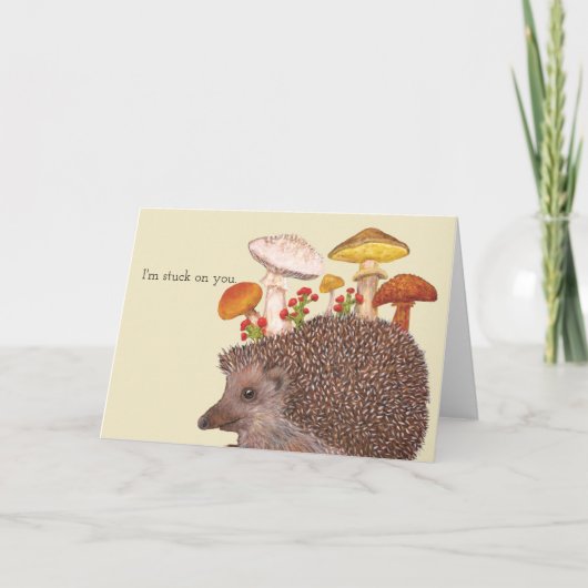 Hedgehog wenskaart kaart (Voorkant)