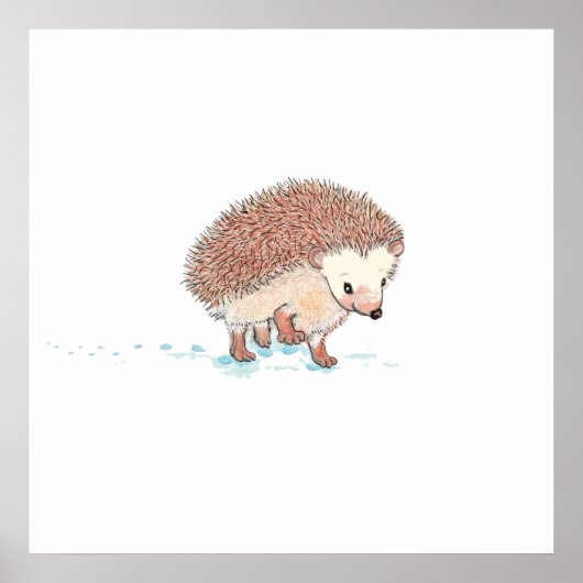 Hedgehog's Big Adventure Poster (Voorkant)