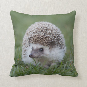 Hedgel Cushion Kussen