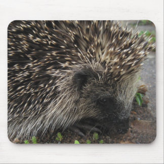 Hedgel Mousepad Muismat