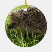 Hedgel Ornament (Voorkant)