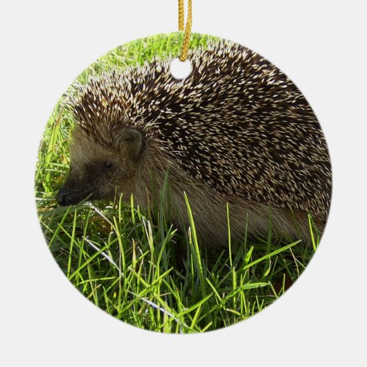 Hedgel Ornament (Voorkant)