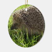 Hedgel Ornament (Links)