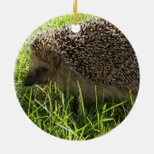 Hedgel Ornament (Achterkant)