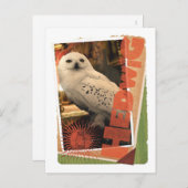 Hedwig 1 briefkaart (Voorkant / Achterkant)