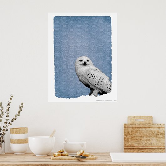 Hedwig 2 poster (Keuken)