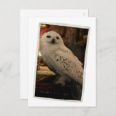 Hedwig 3 briefkaart (Voorkant / Achterkant)
