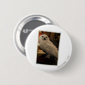 Hedwig 3 ronde button 5,7 cm (Voorkant /achterkant)