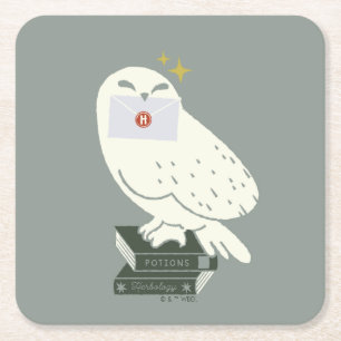 Hedwig Met Brief Fantasievolle Tekening Vierkante Kartonnen Onderzetter