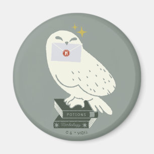 Hedwig Met Brief Whimsical Tekening Magneet