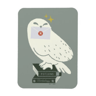 Hedwig Met Brief Whimsical Tekening Magneet