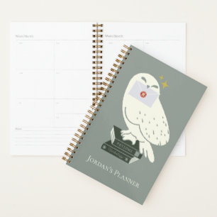 Hedwig Met Brief Whimsicale Tekening Planner