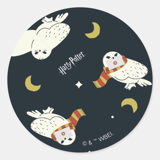 Hedwig Nighttime Moonlight Pattern Ronde Sticker (Voorkant)