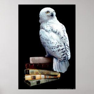 Hedwig op boeken poster