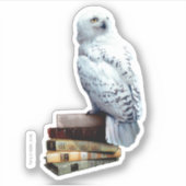 Hedwig op boeken sticker (Voorkant)