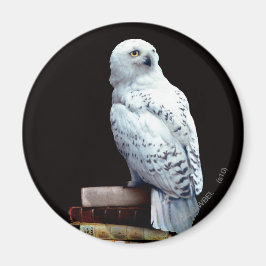 Hedwig over boeken magneet