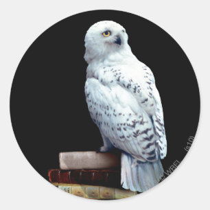 Hedwig over boeken ronde sticker