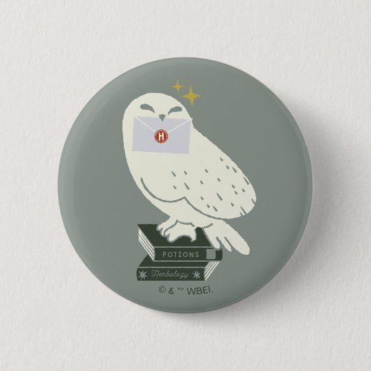 Hedwig With Letter Whimsical Drawing Ronde Button 5,7 Cm (Voorkant)