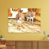 Hee Haw Ezel Canvas Afdruk (Insitu (Woonkamer))