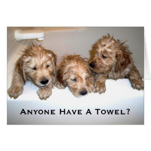 Heeft iemand een handdoek?