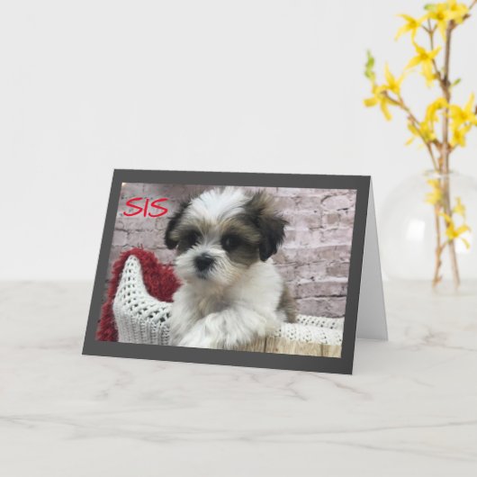 HEEFT *MOEDERDAG* TOT EEN *** SPECIALE ZISTER!*** KAART (Gele Bloem)