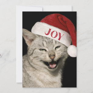 Heel grappig Kerstman Kat Lach Foto Kerstmis Feestdagenkaart