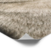 Heel grappig Kerstman Kat Lach Foto Kerstmis Poster (Hoek)