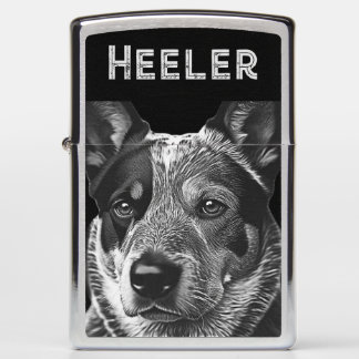 Heeler Blue Heeler Hond