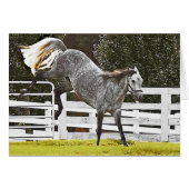 Heels opknappen (Voorkant Horizontaal)