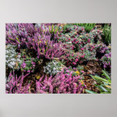 Heer en bessen poster (Voorkant)