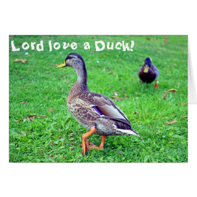Heer houdt van een Duck! Kaart (Voorkant Horizontaal)