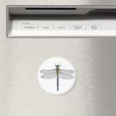 Heerlijke Dragonfly magneet (Insitu (Vaatwasser))