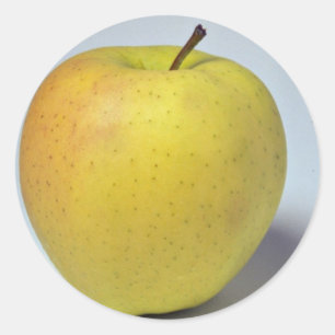 Heerlijke Golden Delicious appel Ronde Sticker