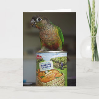 heerlijke mandarin kaart