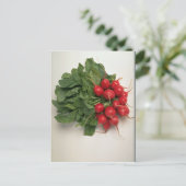 Heerlijke radijzen briefkaart (Staand voorkant)