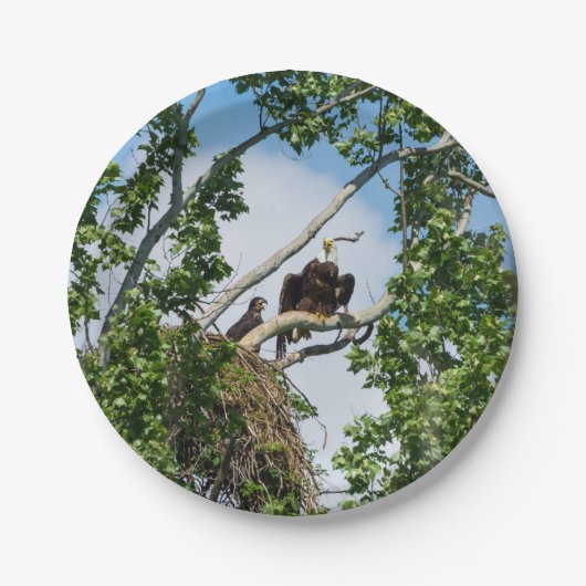 Heet Eagles Papieren Bordje (Voorkant)